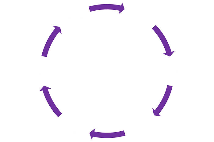 NPSI life cycle